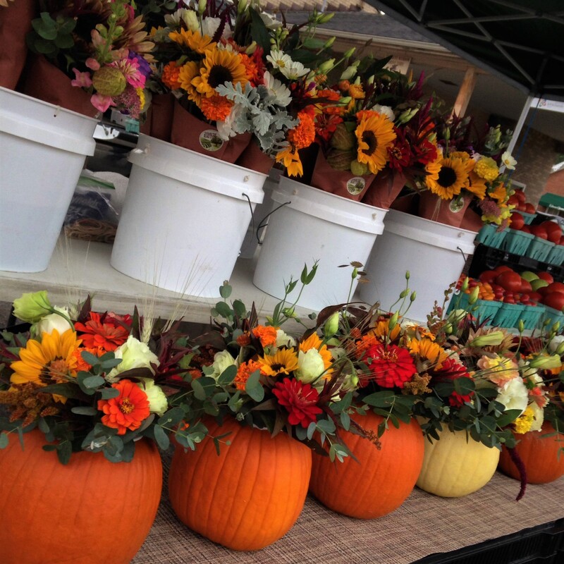 Fresh flower pumpkin arrangements in Lancaster Ohio