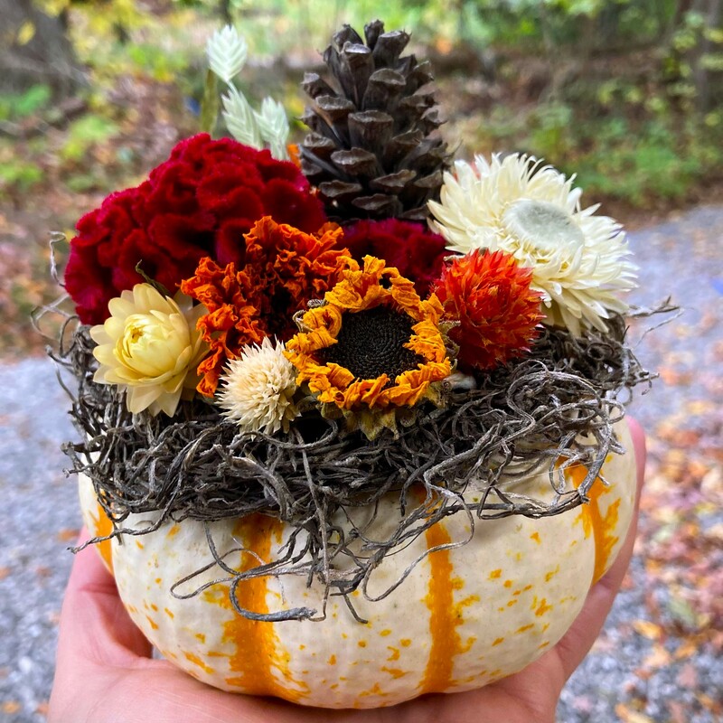 dried flower pumpkin arrangement decoration centerpiece near Lancaster Ohio