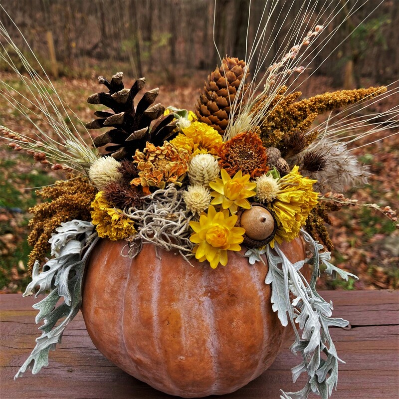 dried pumpkin flower arrangement New Lexington Ohio