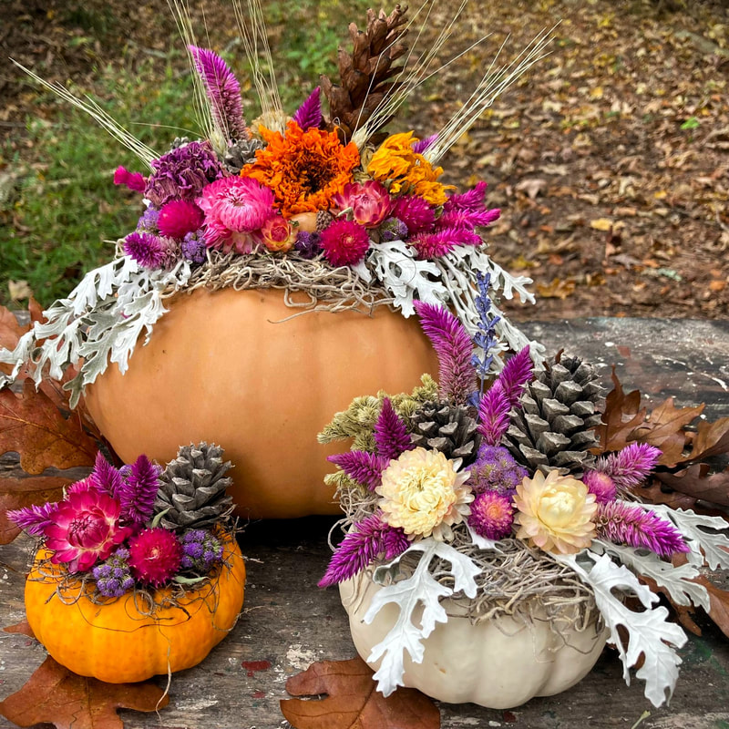 dried flower pumpkin arrangement decoration centerpiece near New Lexington Ohio