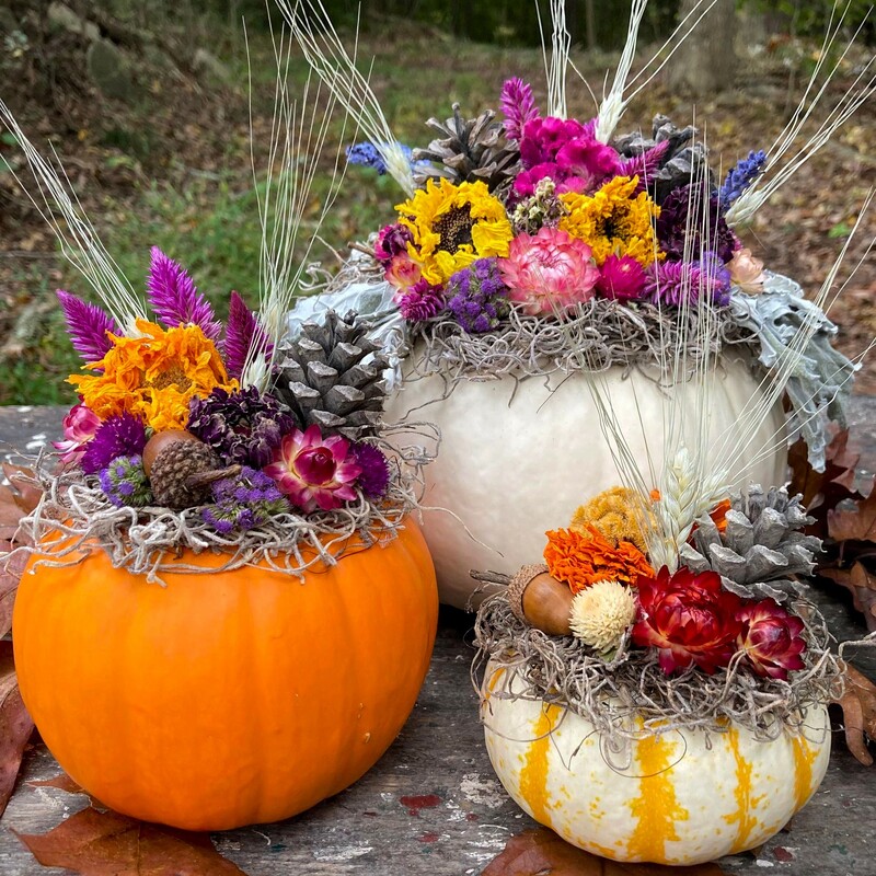 dried flower pumpkin arrangement decoration centerpiece Ohio