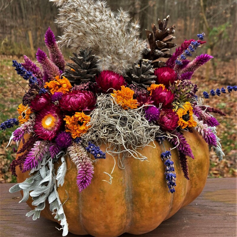 dried pumpkin flower arrangement in New Lexington Ohio