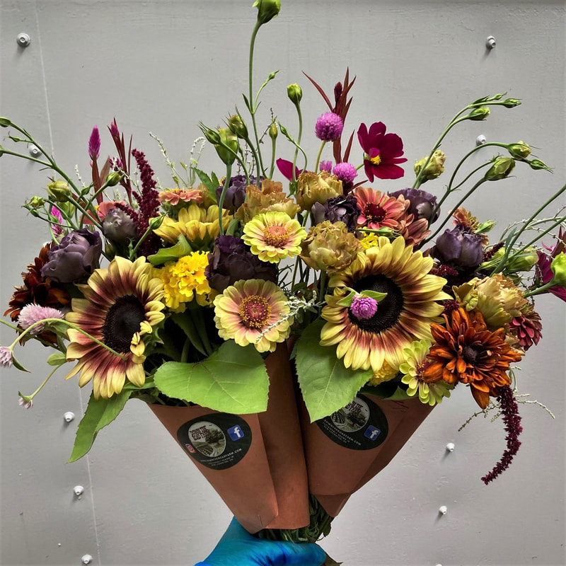 Sunflowers 2023 flower bouquet subscriptions southeast Ohio