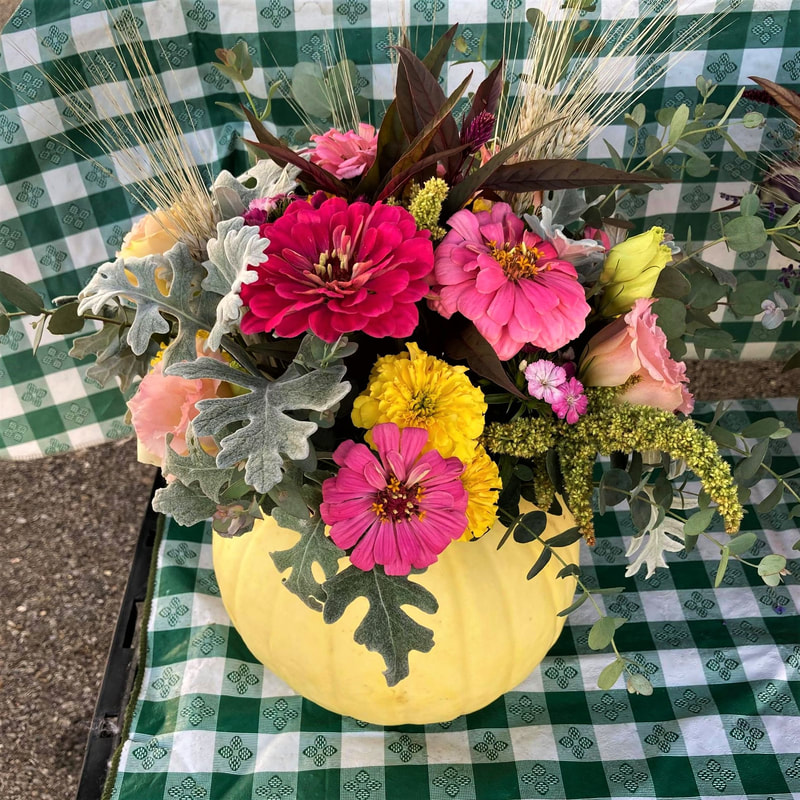 Fresh flower pumpkin arrangement at Lancaster Farmers Market