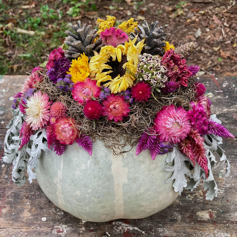 dried flower pumpkin arrangement decoration centerpiece near Somerset Ohio
