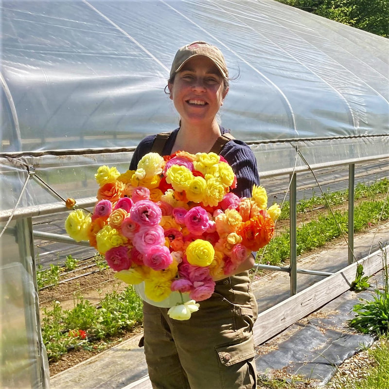New Lexington 43764 southeast Ohio local sustainably managed Ohio specialty cut flower farm ranunculus