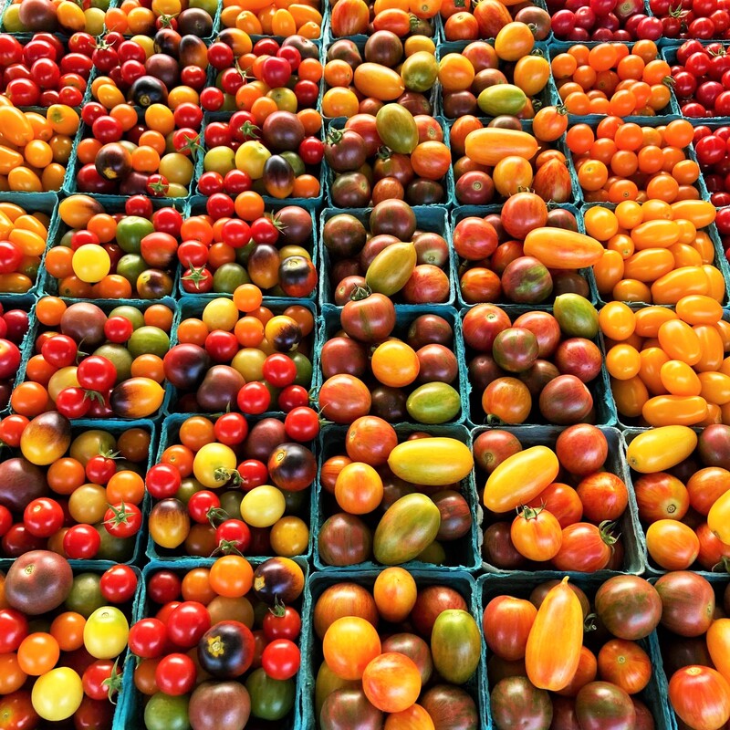 Local sustainably grown farm cherry tomatoes Ohio