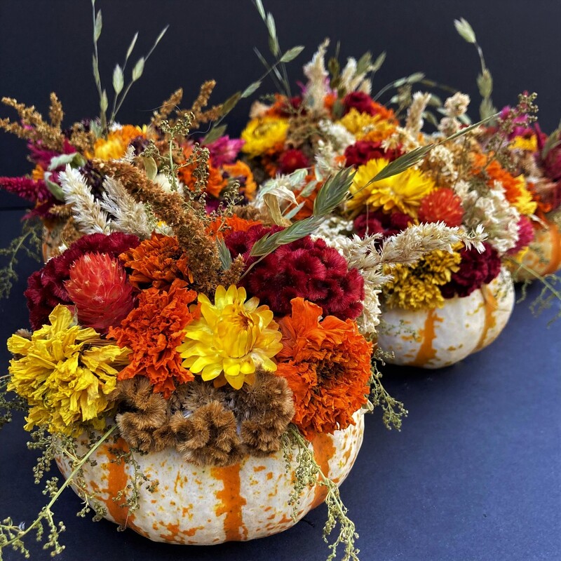 dried pumpkin flower arrangement decoration Ohio
