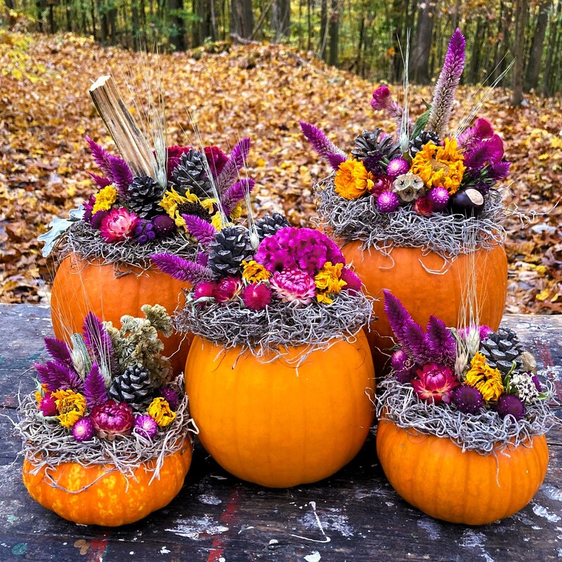 dried flower pumpkin arrangement decoration centerpiece near Rushville Ohio