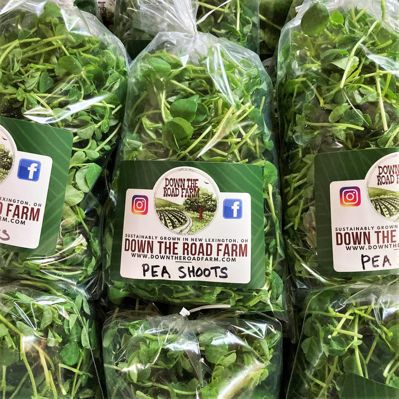 Local sustainably grown farm pea shoots Ohio