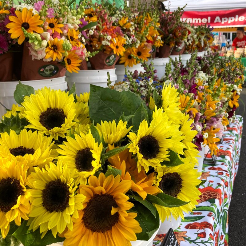flower farmer with flower bouquets and sunflowers near 43130