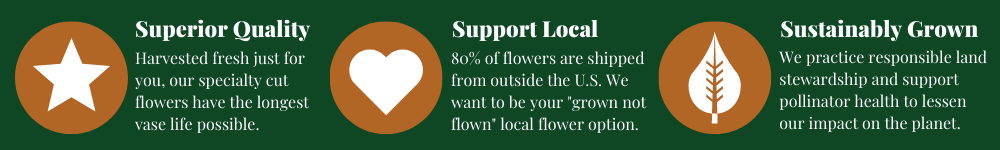 Local, sustainably grown fresh cut specialty flowers
