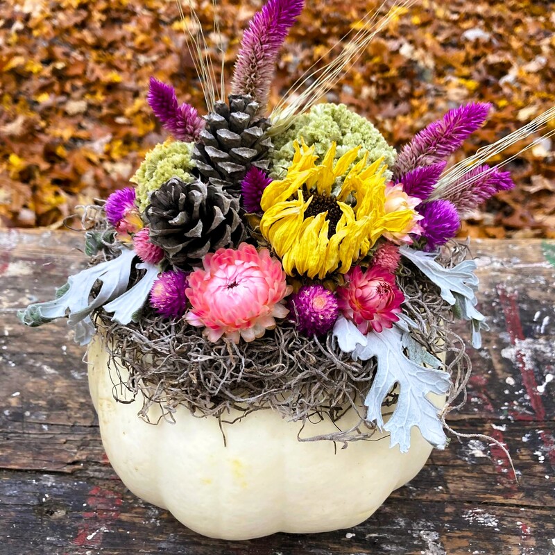 dried flower pumpkin arrangement decoration centerpiece Perry County Ohio